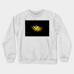 Buttercup Crewneck Sweatshirt